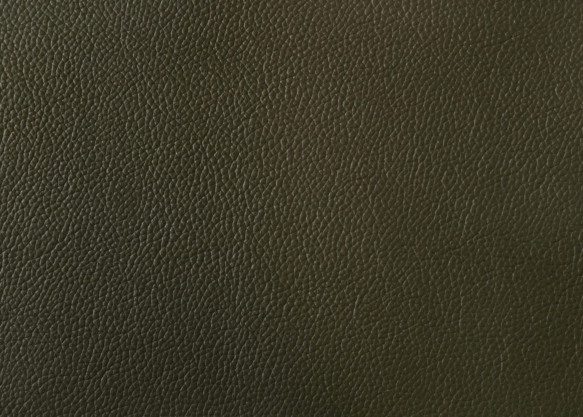 Tanner - Leather Sofa With Padded Arms