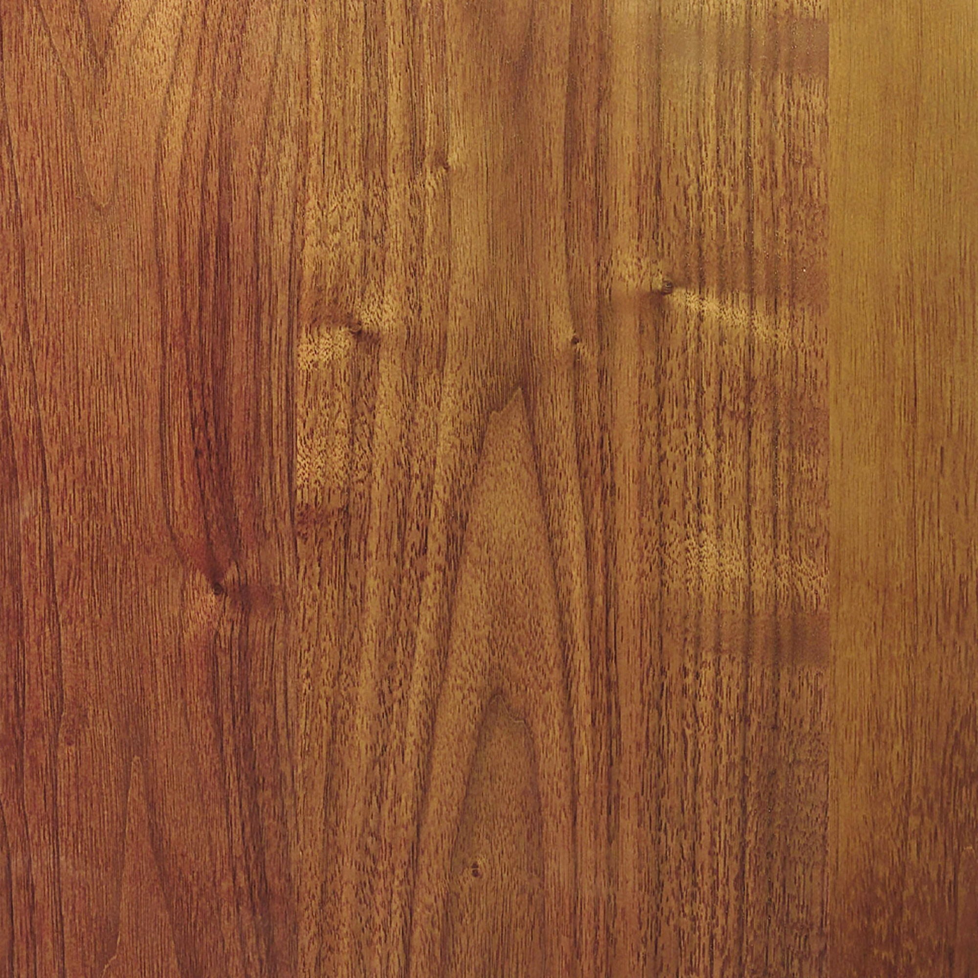Café - Dining Chair