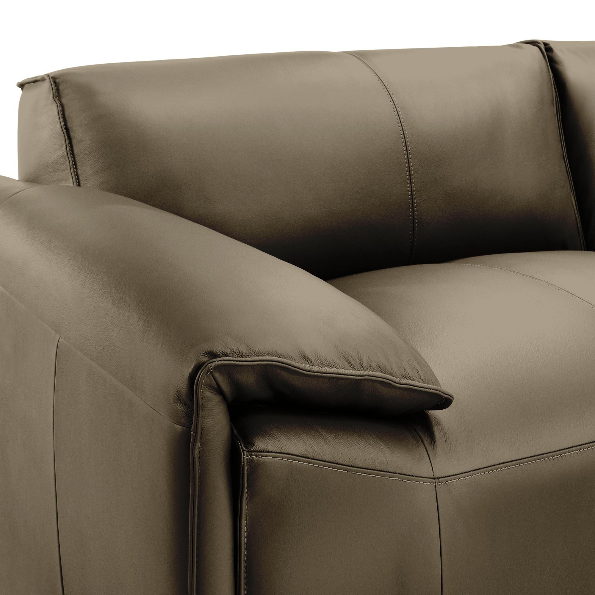 Tanner - Leather Loveseat With Padded Arms
