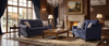 Argent Sofa and Loveseat