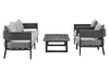 Argiope - 4 Piece Outdoor Aluminum & Fabric Outdoor Conversation Set - Dark Gray