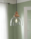 Farica - Transparent - Glass Pendant Light (1/CN)